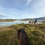Marisletta Farm - House By The Sea Holiday home Tromso